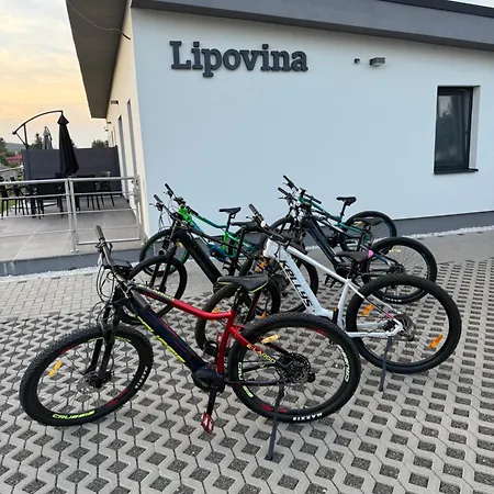 Apartmán Lipovina Mala Trna